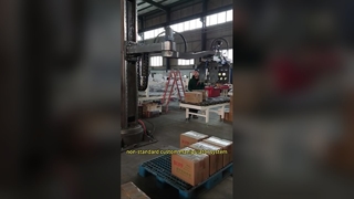 비표준 맞춤형 매니퓰레이터 시스템