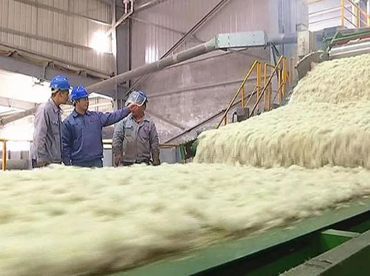 Mineral Wool Board Production Line with 1200-2400mm Board Width 80-200kg/m3 Density and 380V/50Hz Power Supply